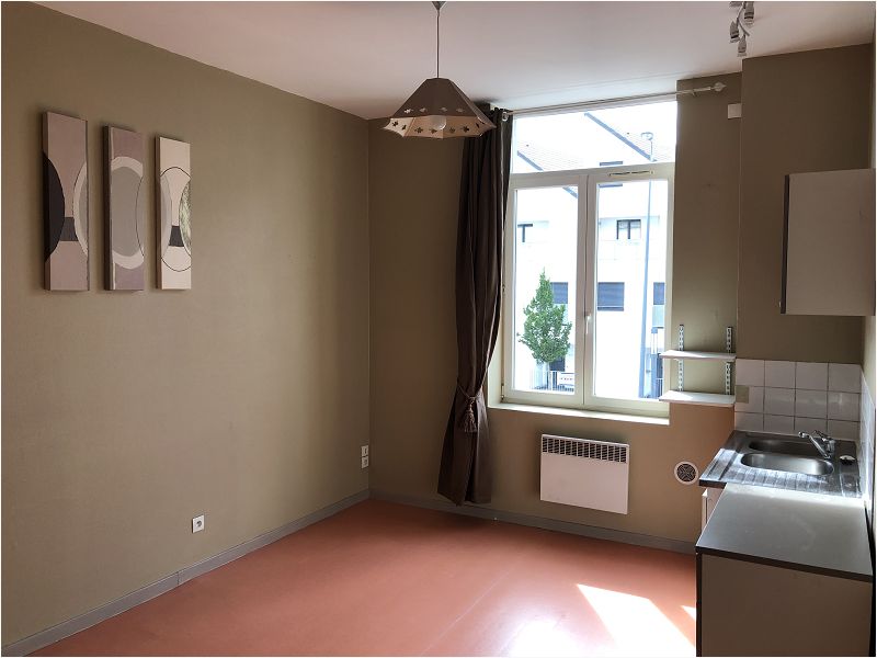 Location Appartement 35m² Faches Thumesnil 0